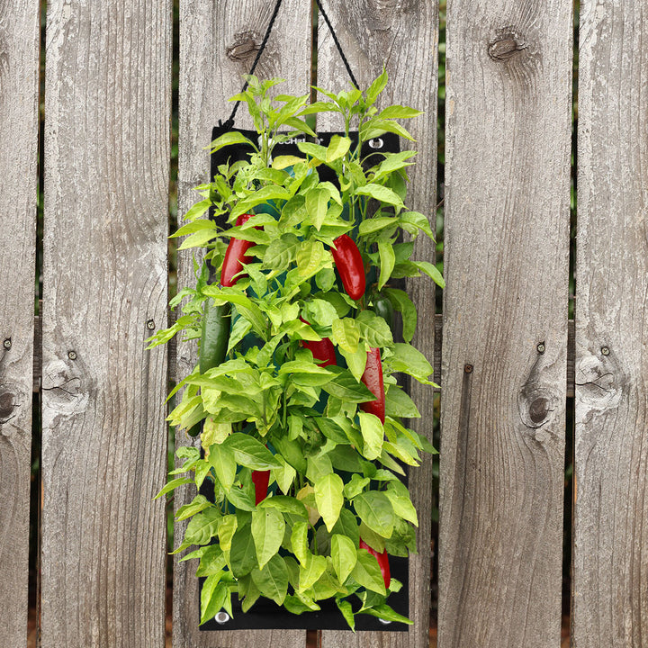 Organic Hanging Vegetable Garden Seed Kit with Soil Block 4 Options Non-GMO Image 3