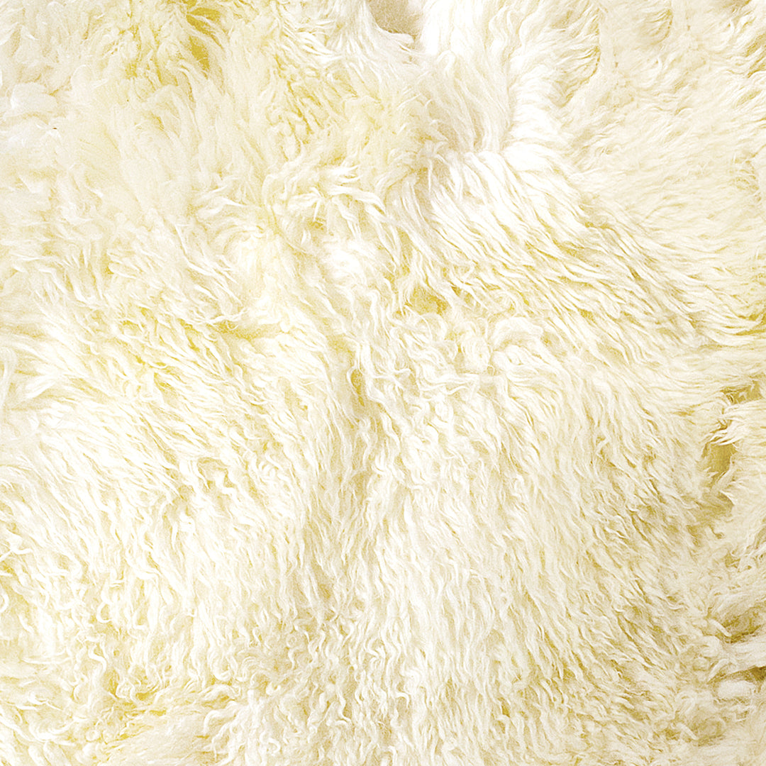 Zealand Sheepskin Curly Rug Natural 2 x 3 Soft Accent Image 2