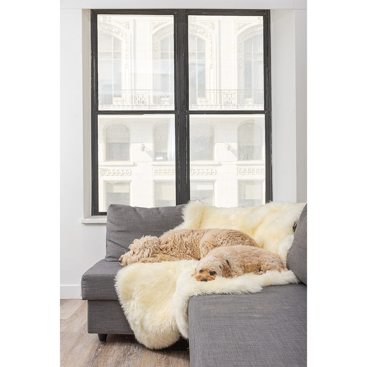 Natural Zealand Sheepskin Quattro Rug 4x6 Natural Hypoallergenic Indoor Use Image 4