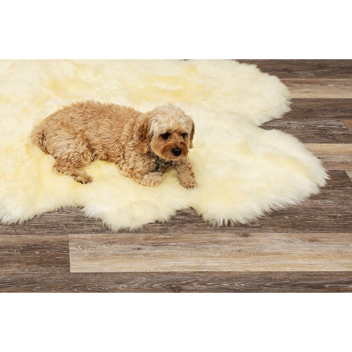 Natural Zealand Sheepskin Rug 5x6 Soft Hypoallergenic Natural Image 4