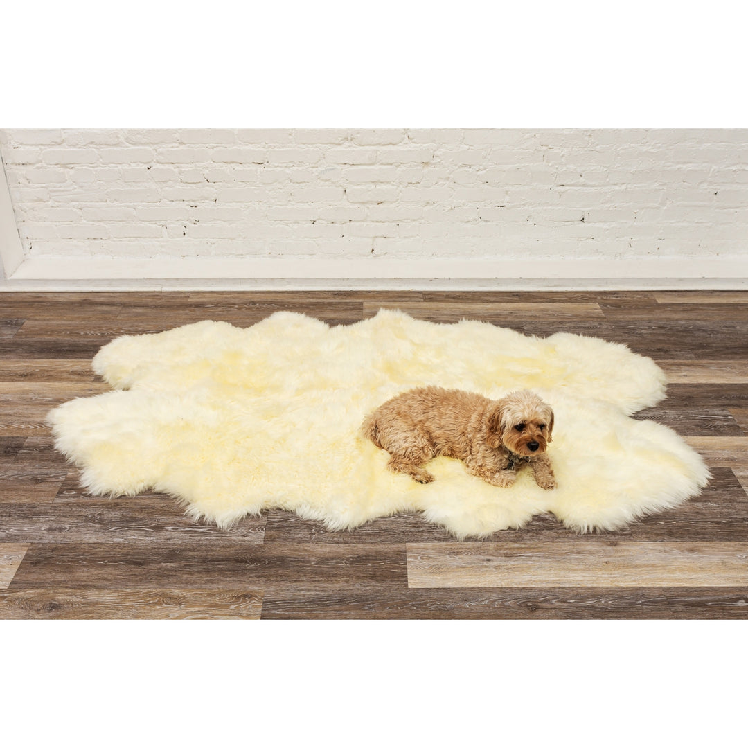 Natural Zealand Sheepskin Quattro Rug 4x6 Natural Hypoallergenic Indoor Use Image 5