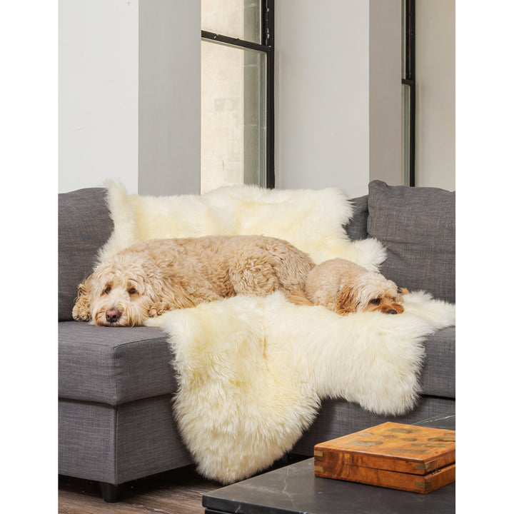 Natural Zealand Sheepskin Quattro Rug 4x6 Natural Hypoallergenic Indoor Use Image 7