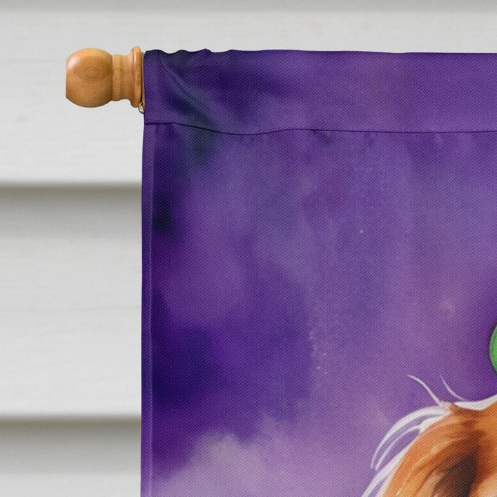 Cavalier Spaniel King of Mardi Gras House Flag Image 3