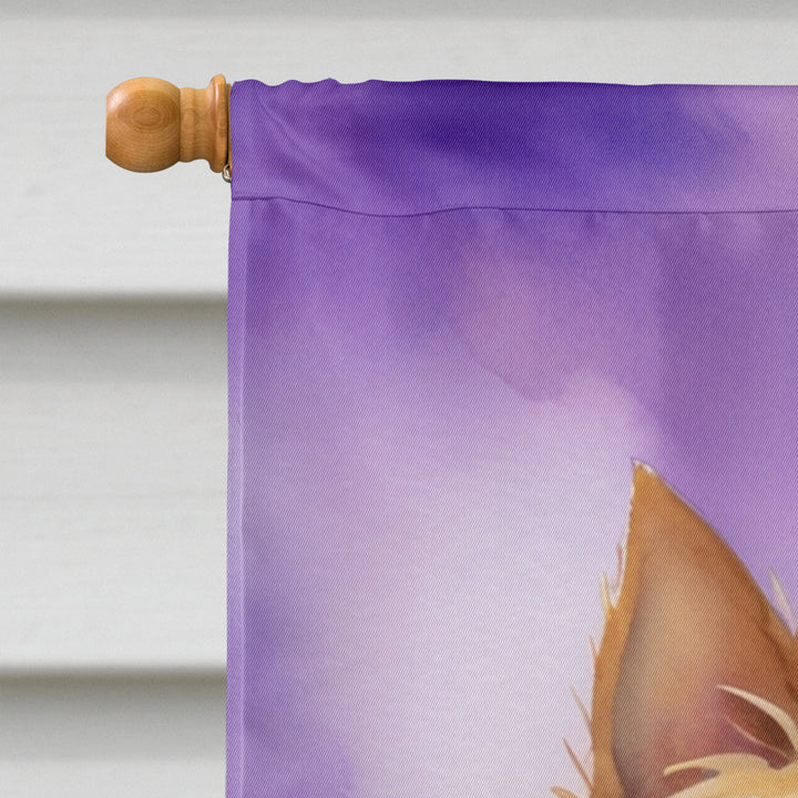 Norwich Terrier King of Mardi Gras House Flag Image 3