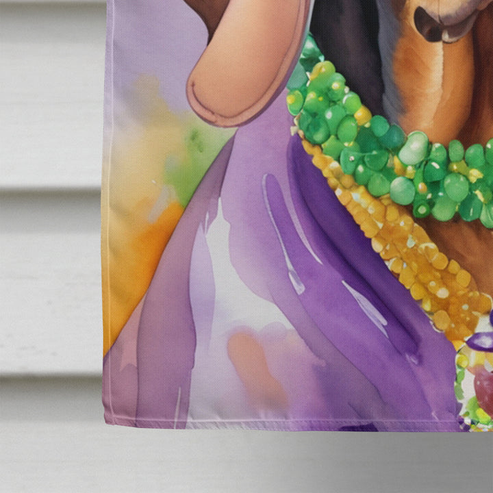 Redbone Coonhound King of Mardi Gras House Flag Image 4