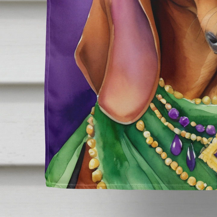 Redbone Coonhound King of Mardi Gras House Flag Image 4