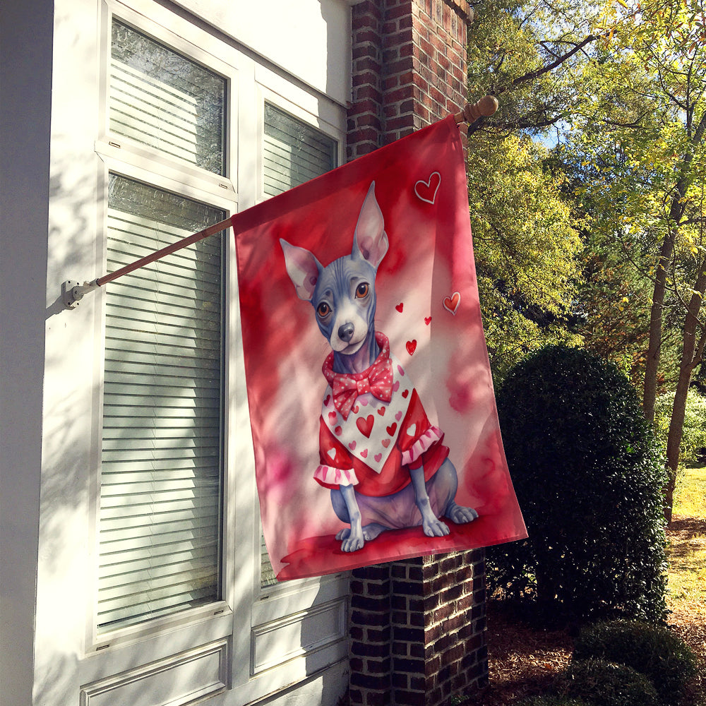 American Hairless Terrier My Valentine House Flag Image 2