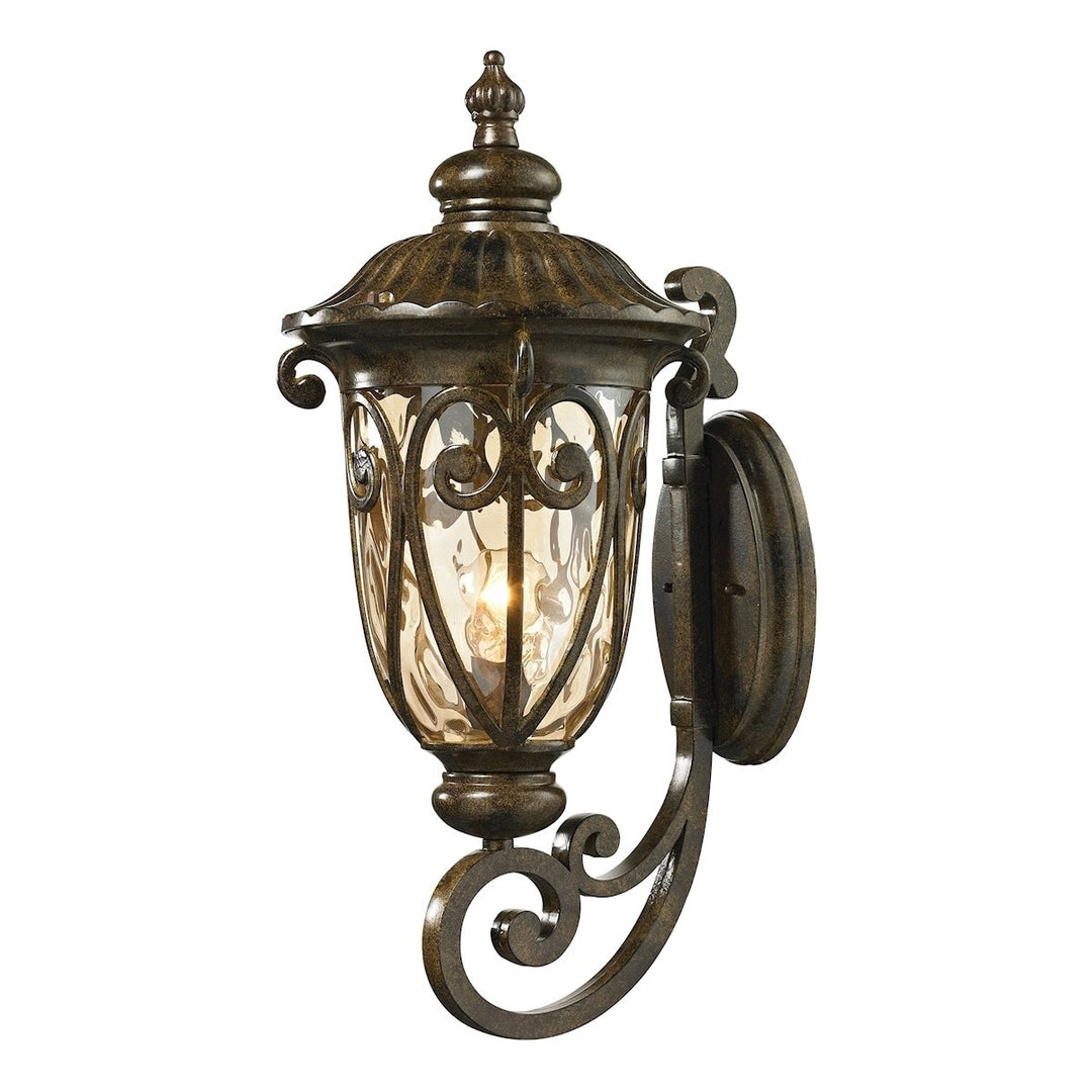 Logansport 24 High 1-Light Outdoor Sconce - Hazelnut Bronze Image 1