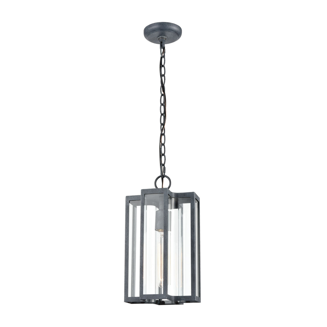 Bianca 8 Wide 1-Light Outdoor Pendant Image 1