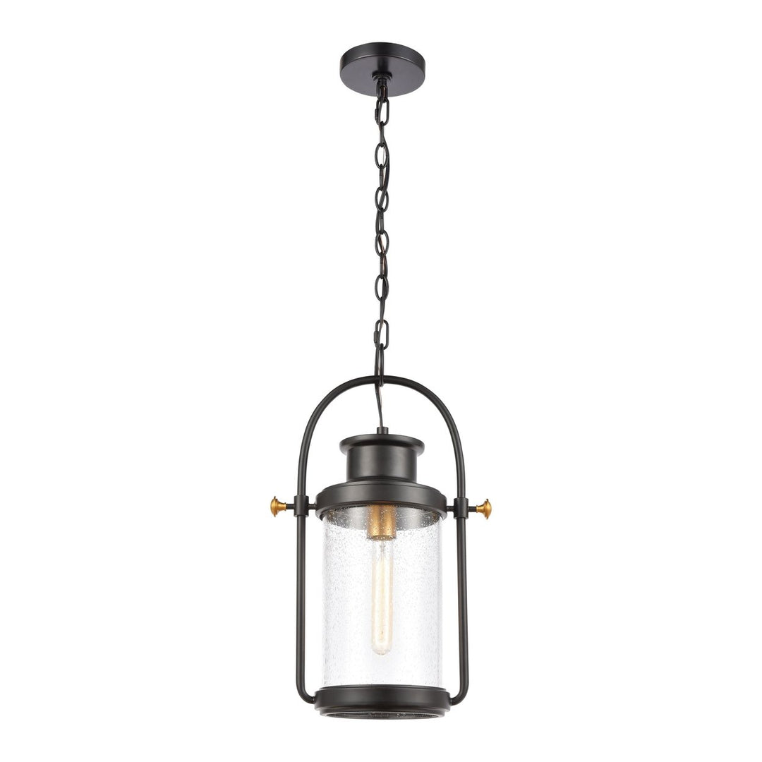 Wexford 12 Wide 1-Light Outdoor Pendant - Matte Black Image 1