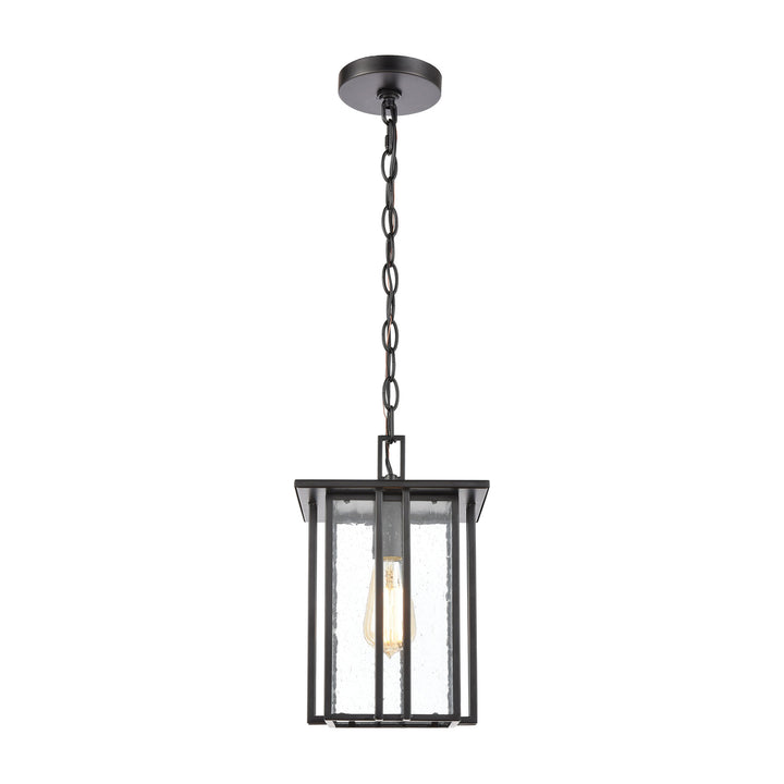 Radnor 8 Wide 1-Light Outdoor Pendant - Matte Black Image 2