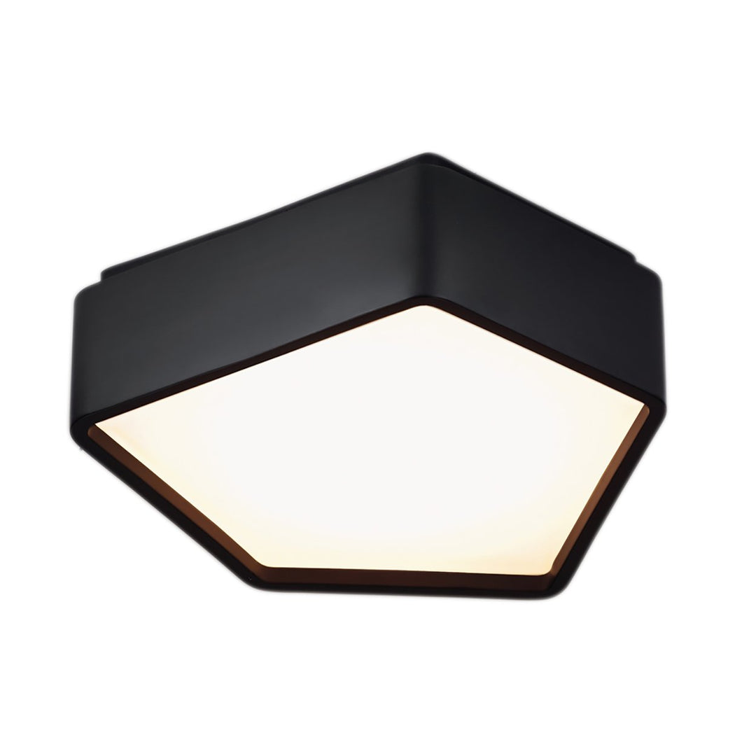 Fenway Flush Mount Light Image 1