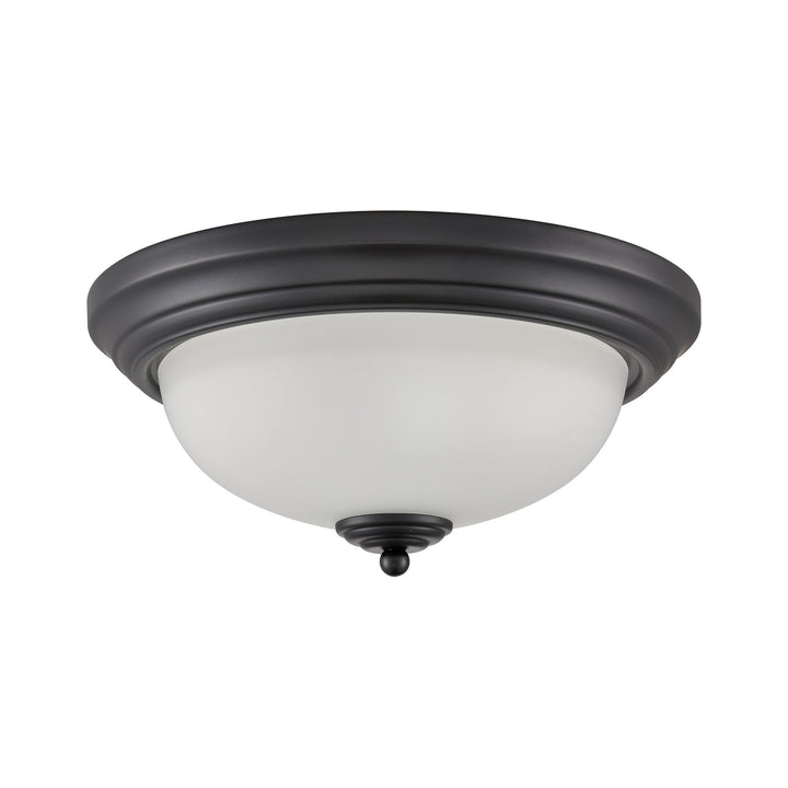 Basics 13 Wide 2-Light Flush Mount - Black Image 2