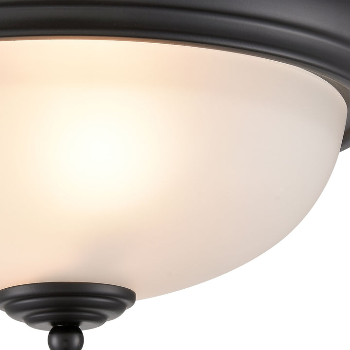 Basics 13 Wide 2-Light Flush Mount - Black Image 4