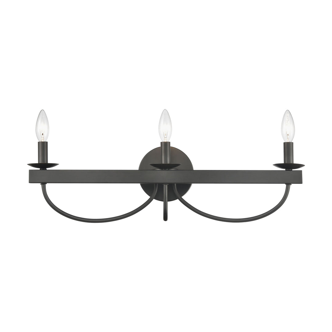 Williamson 24 Wide 3-Light Vanity Light - Black Image 2