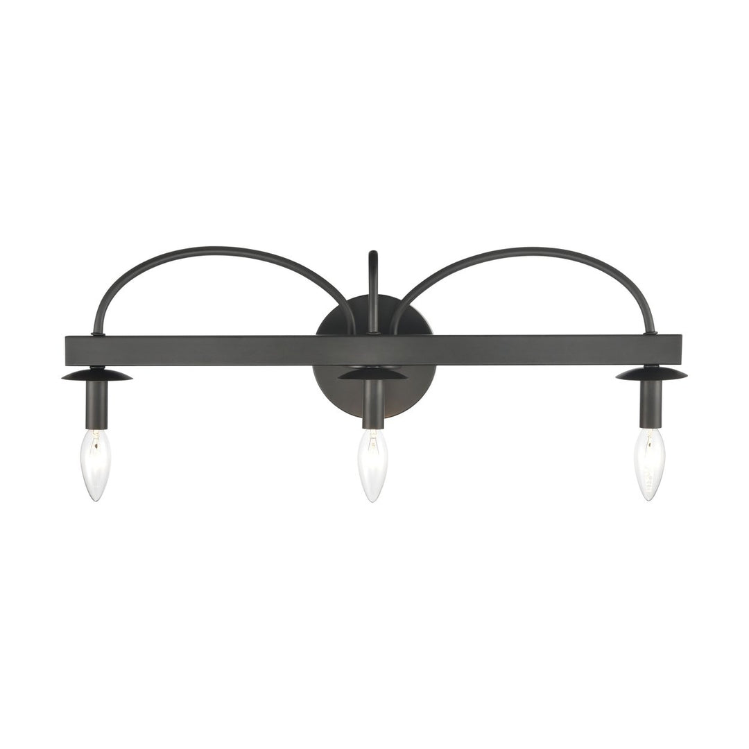 Williamson 24 Wide 3-Light Vanity Light - Black Image 3