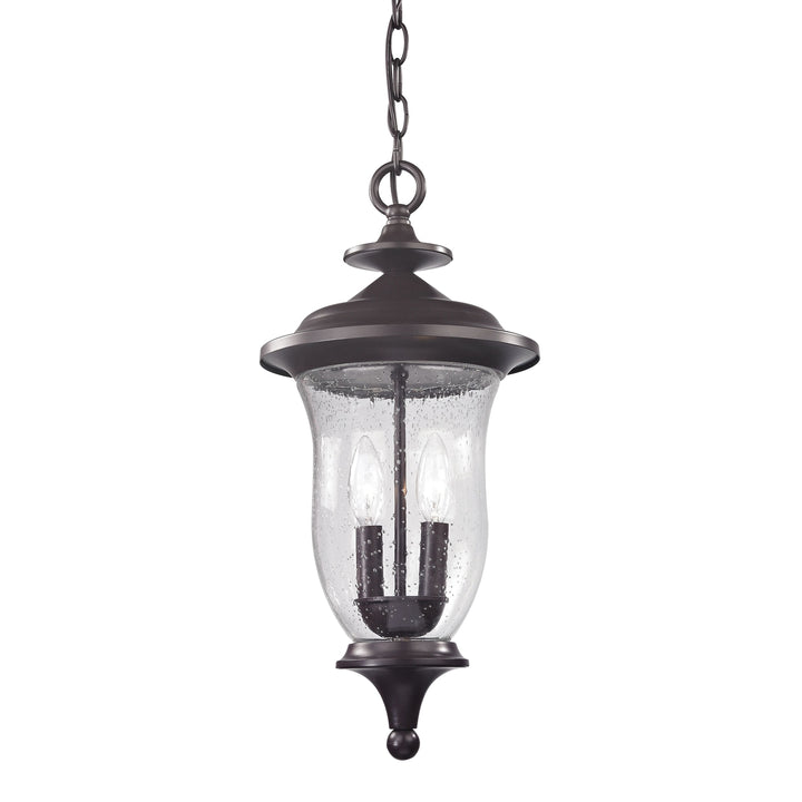 Trinity 9 Wide 2-Light Outdoor Pendant - Oil Rubbed Bronze Image 1