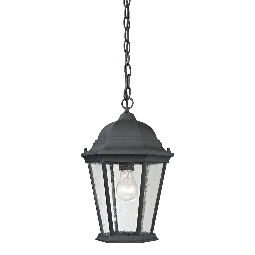 Temple Hill 10 Wide 1-Light Outdoor Pendant - Matte Textured Black Image 1