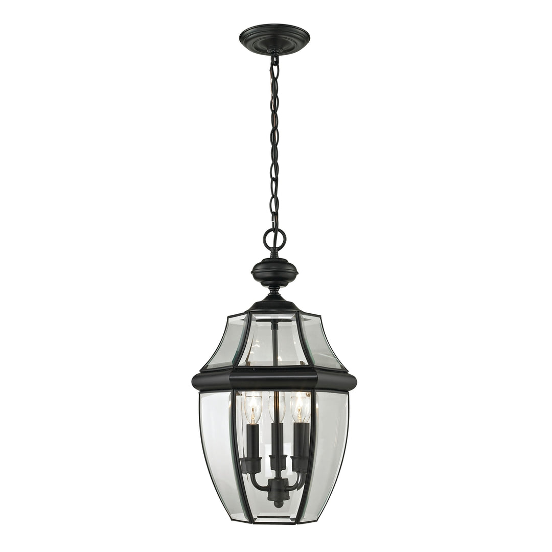 Ashford 12 Wide 3-Light Outdoor Pendant Image 1