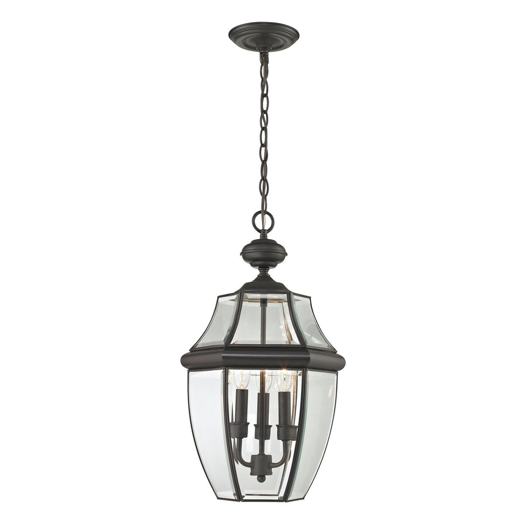 Ashford 12 Wide 3-Light Outdoor Pendant Image 1