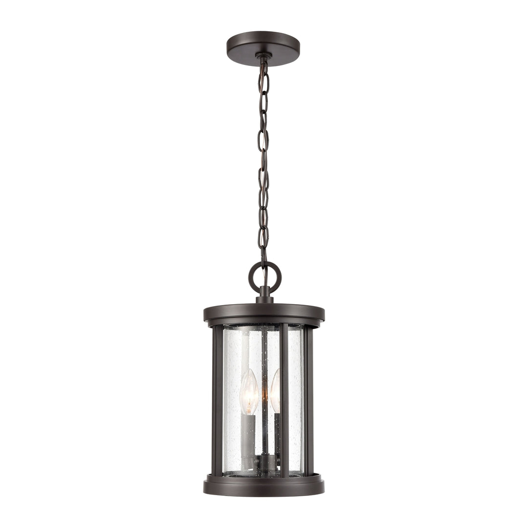 Brison 8 Wide 2-Light Outdoor Pendant Image 1