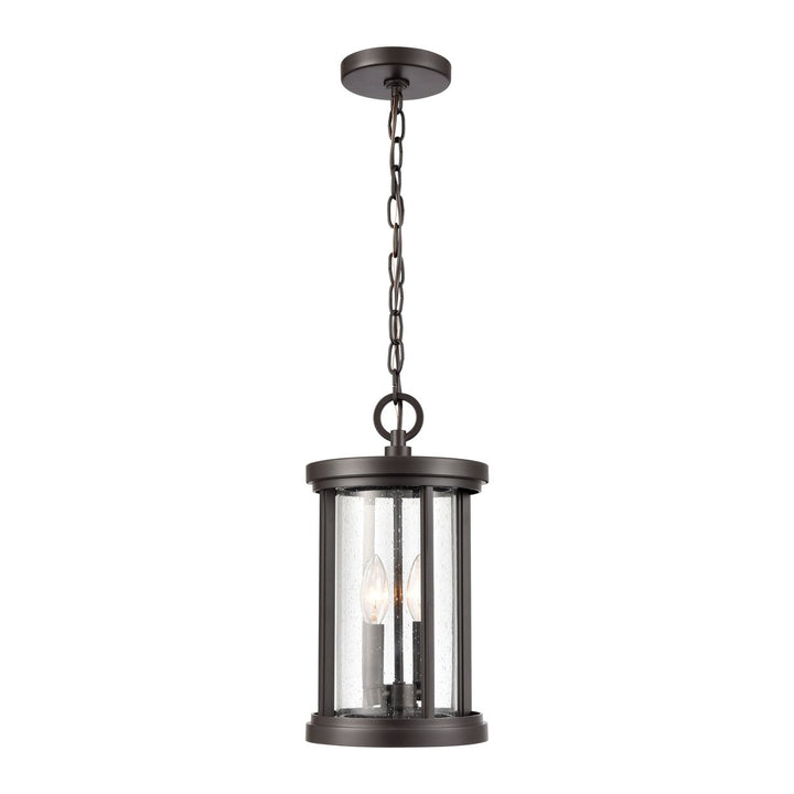 Brison 8 Wide 2-Light Outdoor Pendant Image 3