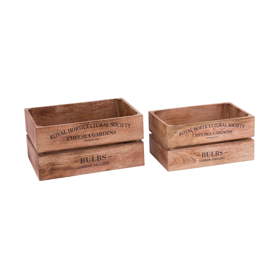 English Bulbs Boxes (Set of 2) Image 1