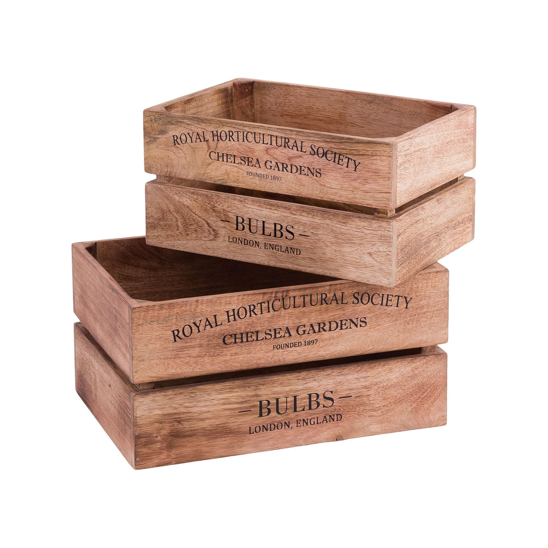 English Bulbs Boxes (Set of 2) Image 2