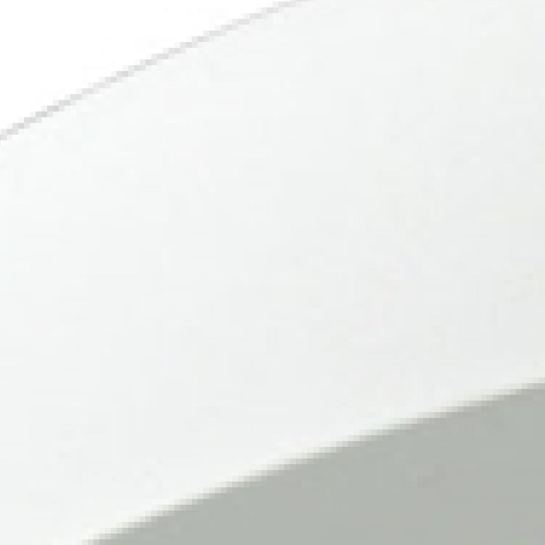 Titan 10 Wide 1-Light Flush Mount - White Image 3