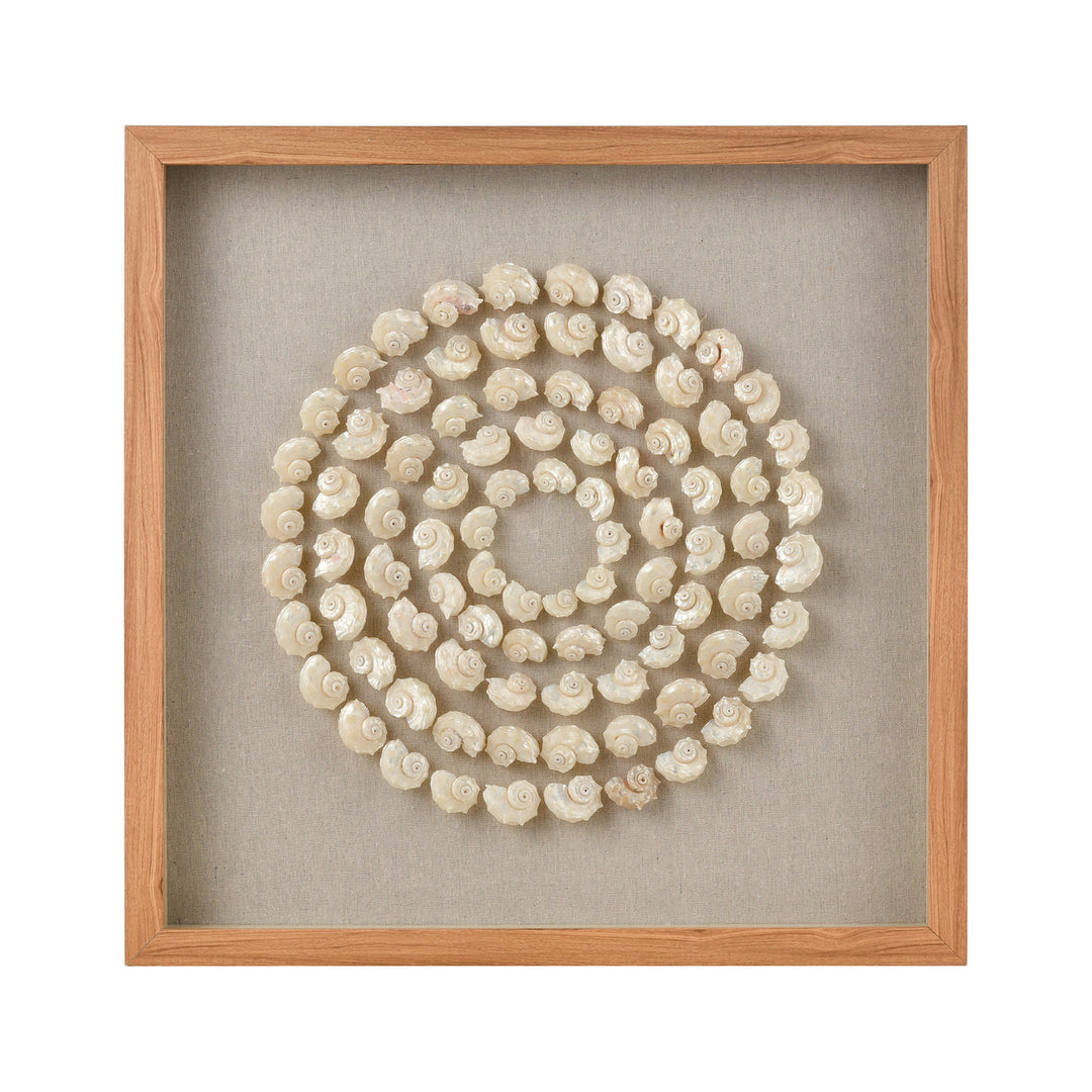 Concentric Shell Dimensional Wall Art Image 1