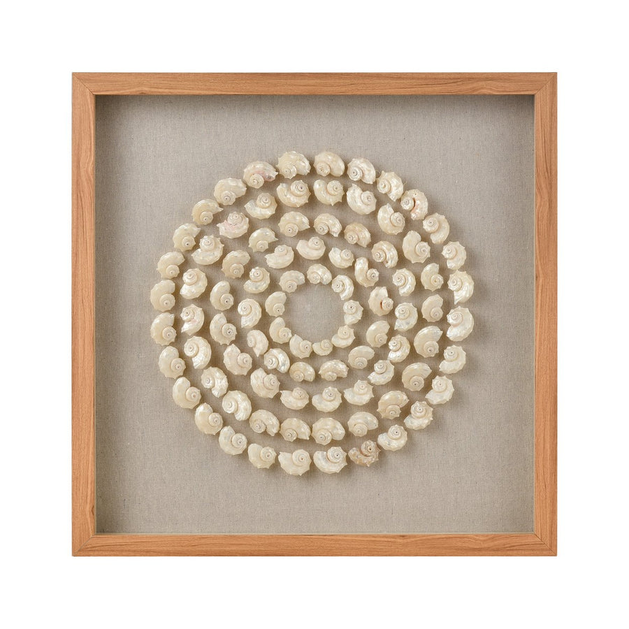 Concentric Shell Dimensional Wall Art Image 1