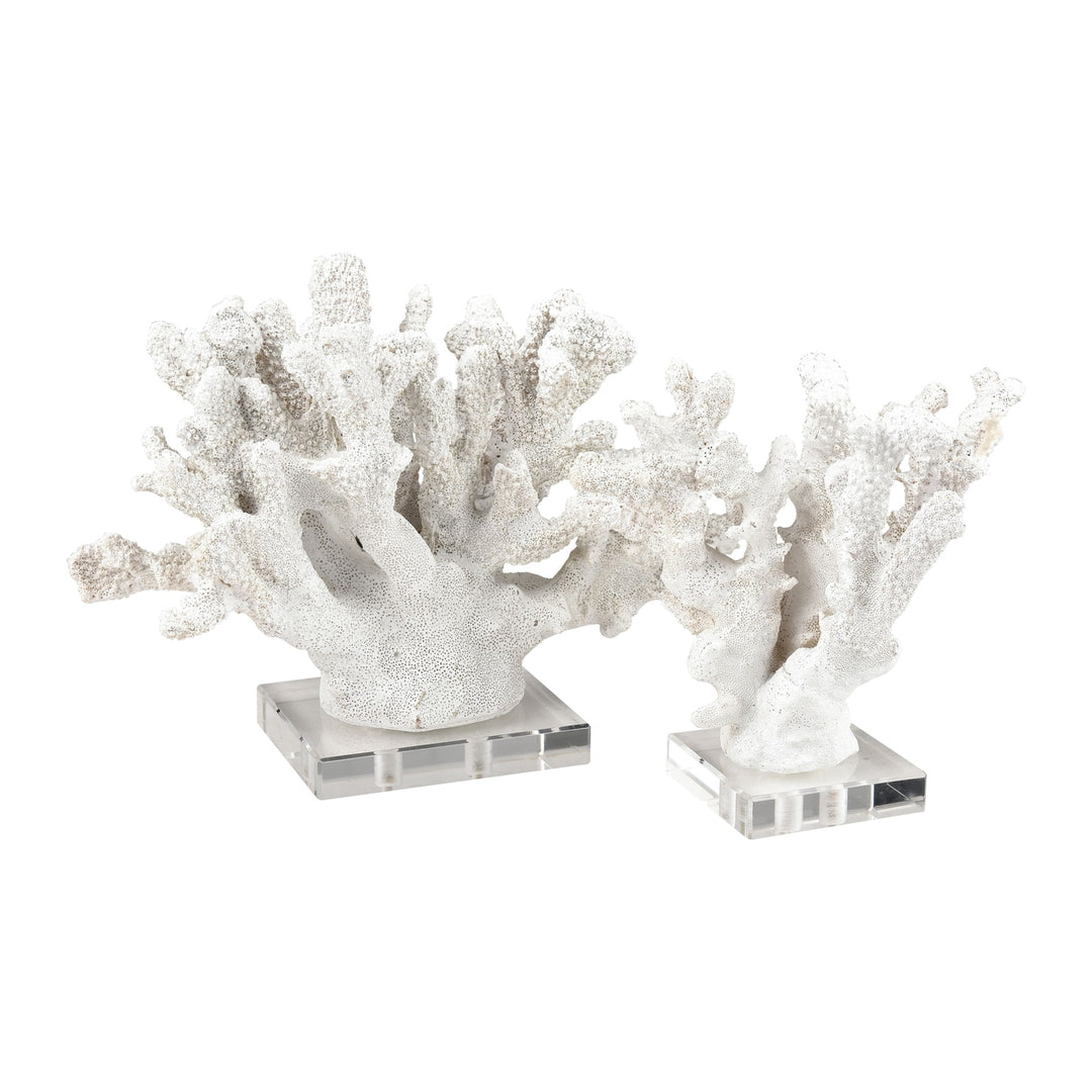 Coral Sculpture - Set of 2 Image 1