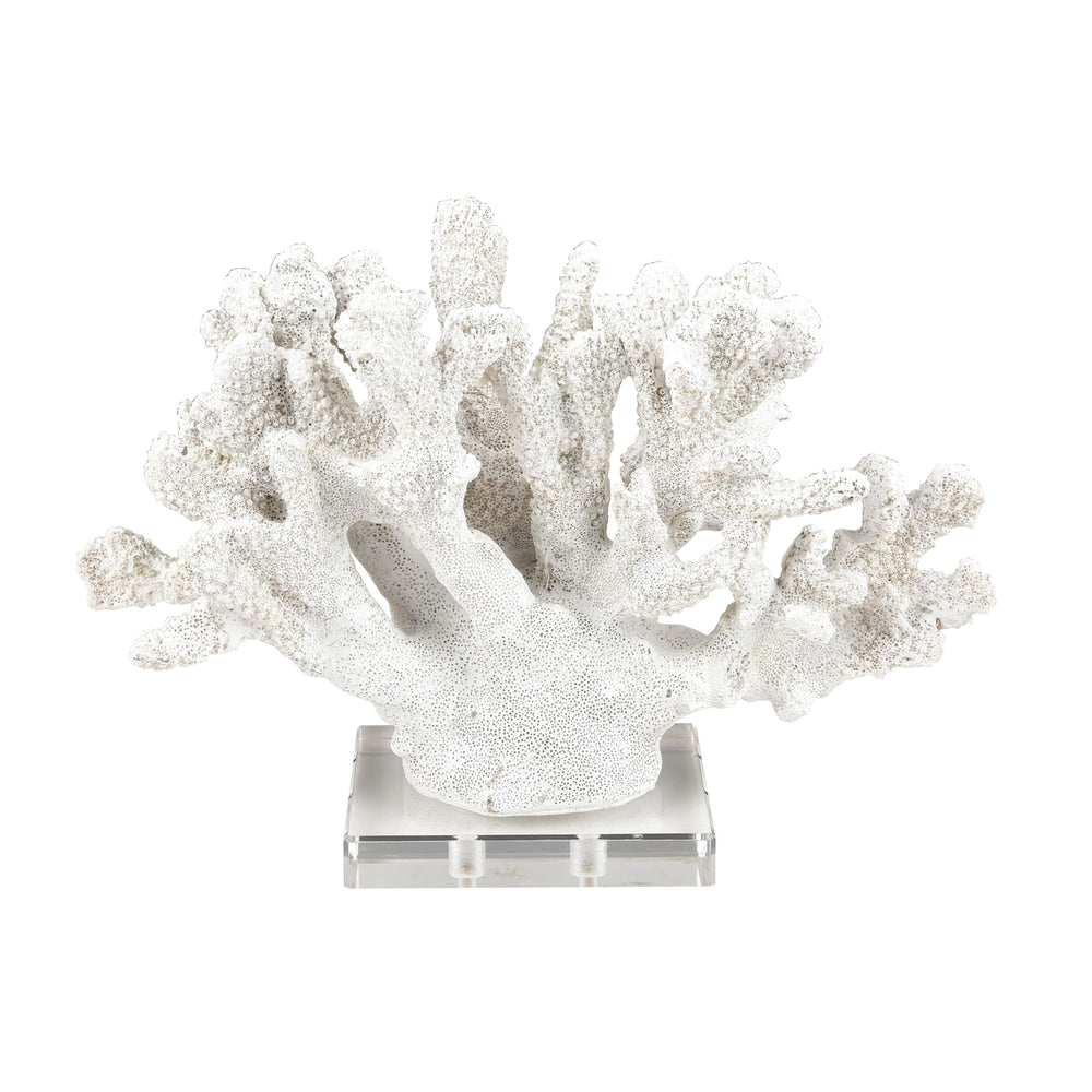 Coral Sculpture - Set of 2 Image 2