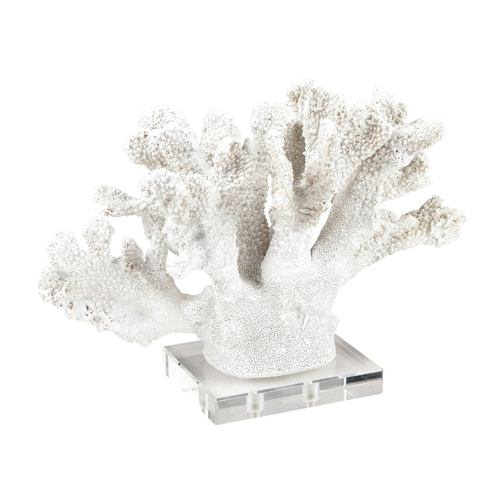 Coral Sculpture - Set of 2 Image 3