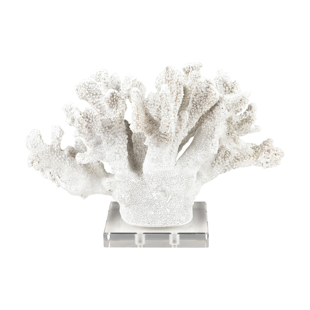 Coral Sculpture - Set of 2 Image 4