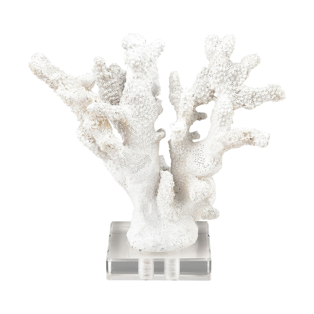 Coral Sculpture - Set of 2 Image 7