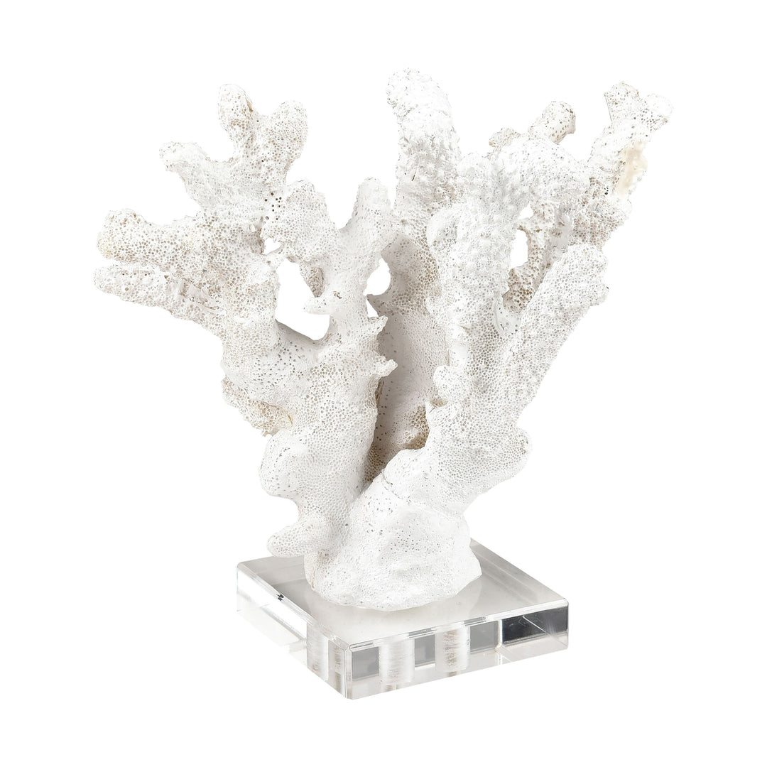 Coral Sculpture - Set of 2 Image 8