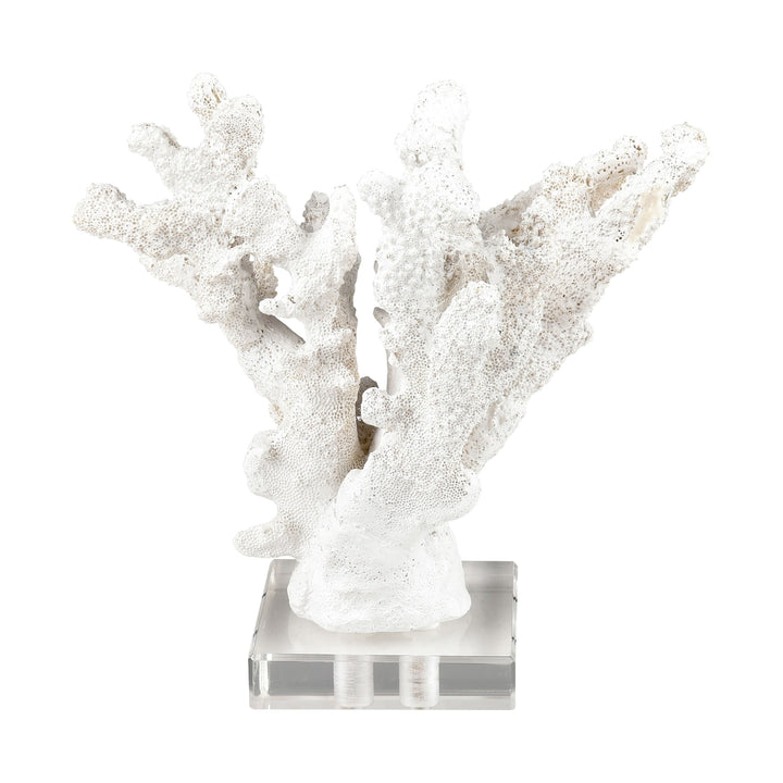 Coral Sculpture - Set of 2 Image 9