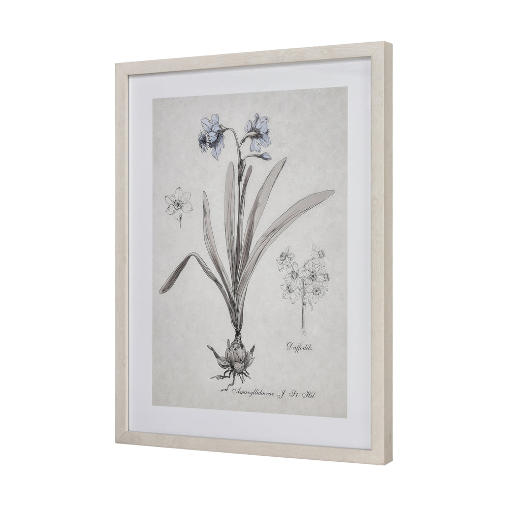 Daffodil Botanic Framed Wall Art Image 2