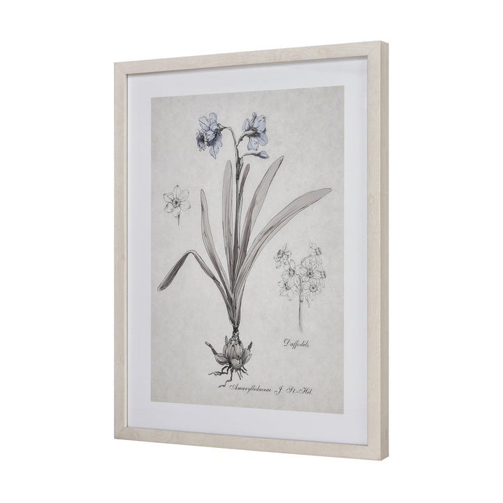 Daffodil Botanic Framed Wall Art Image 2