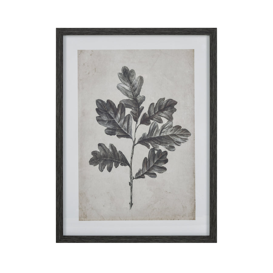 Oak I Botanic Framed Wall Art Image 1