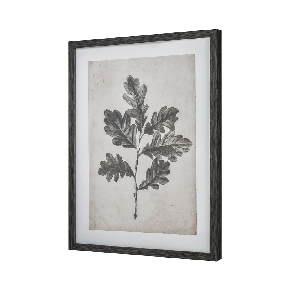 Oak I Botanic Framed Wall Art Image 2