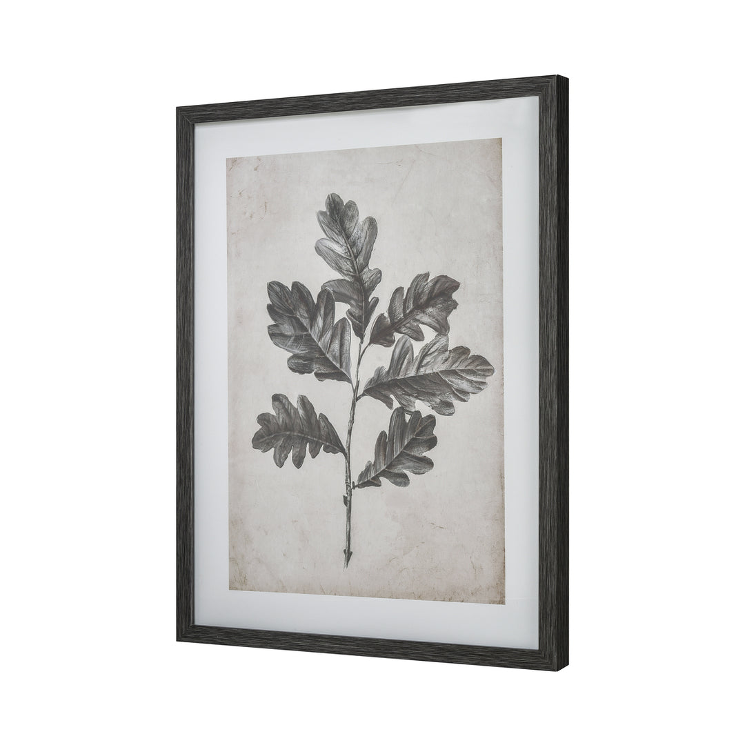 Oak I Botanic Framed Wall Art Image 2