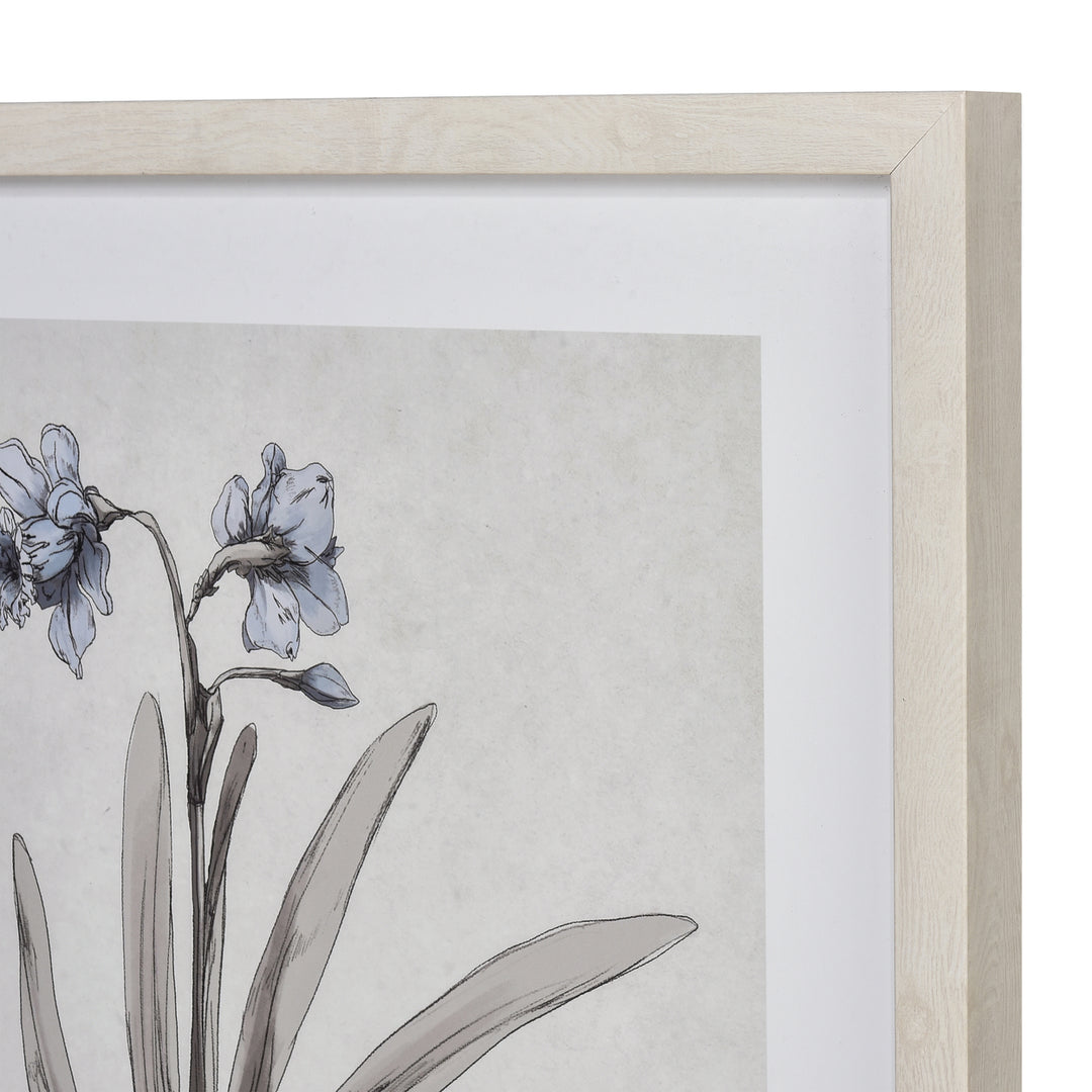 Daffodil Botanic Framed Wall Art Image 4