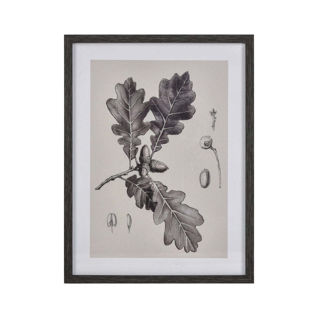 Oak II Botanic Framed Wall Art Image 1