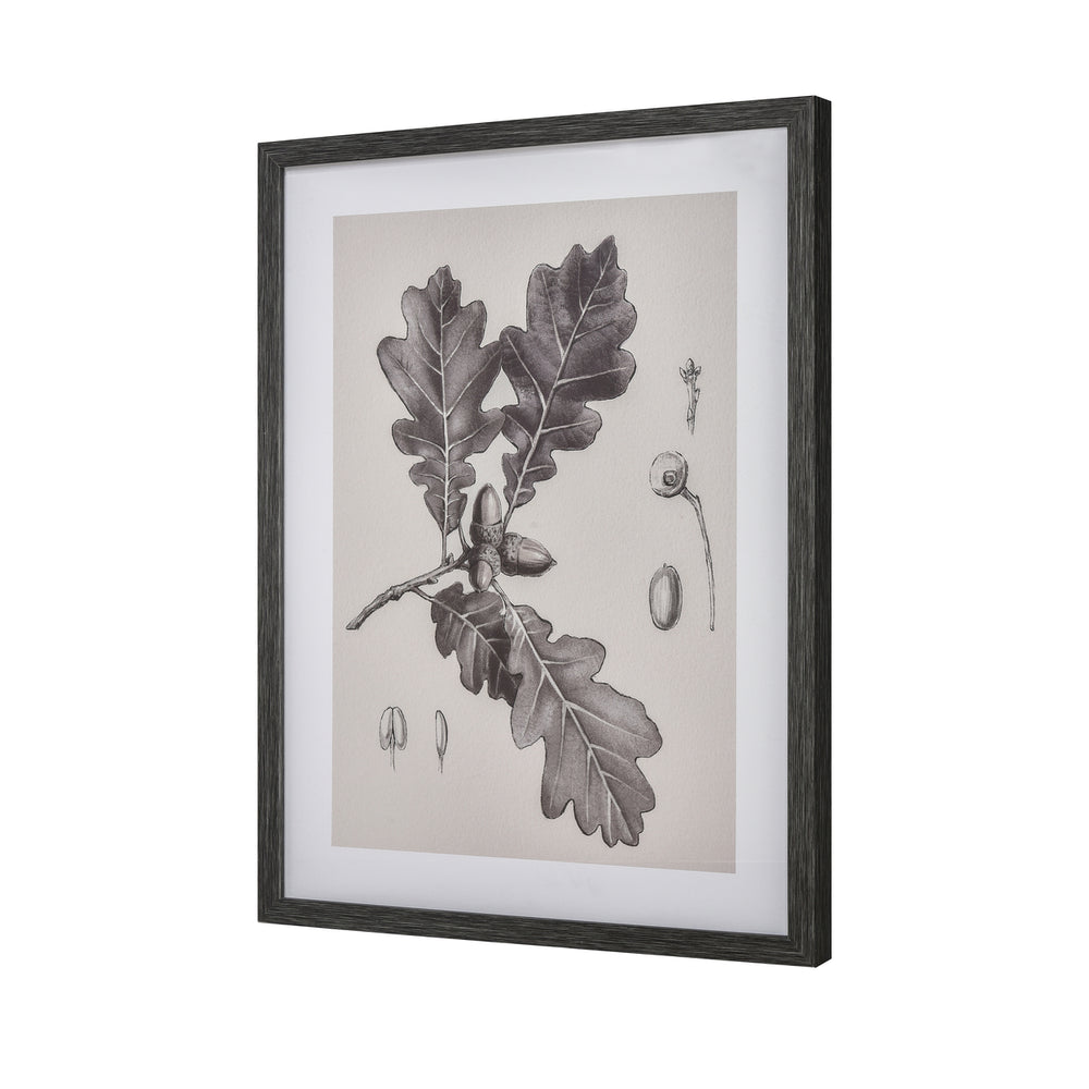 Oak II Botanic Framed Wall Art Image 2