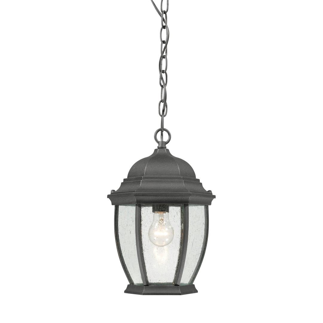 Covington 9.5 Wide 1-Light Outdoor Pendant - Black Image 1