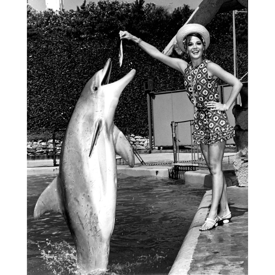 Natalie Wood - Feeding Dolphin Photo Print (8 x 10) - Item DAP110115 Image 1