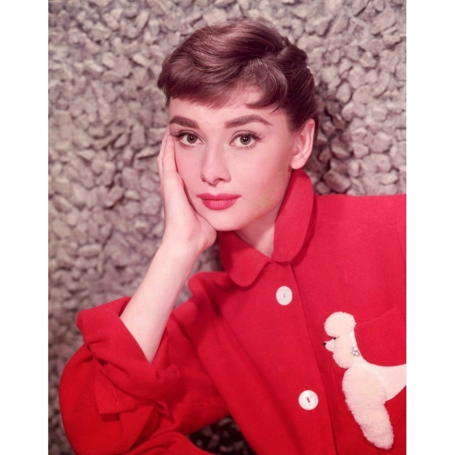 Audrey Hepburn - Poodle Shirt Photo Print (8 x 10) - Item DAP11667 Image 1