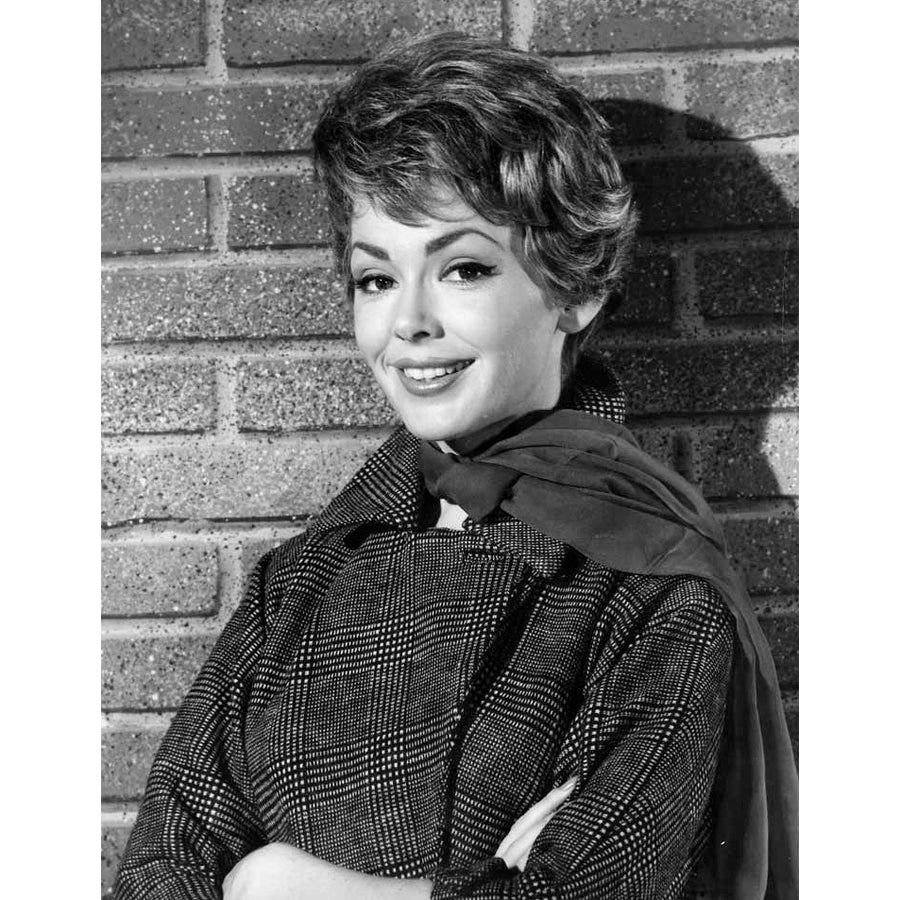 Barbara Rush - Bricks Photo Print (8 x 10) - Item DAP12519 Image 1